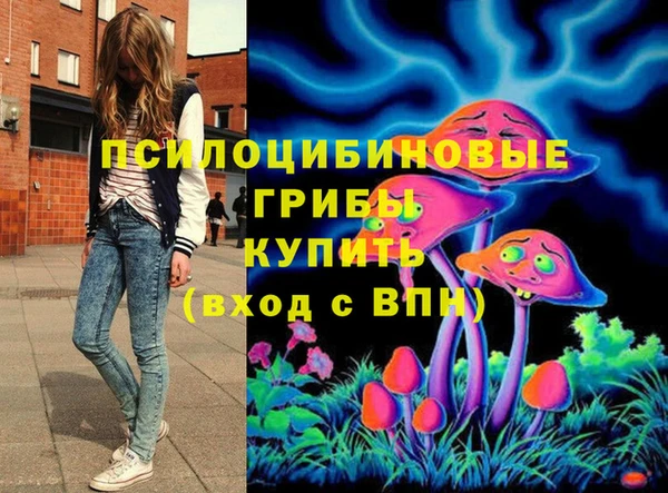 круглые Алзамай