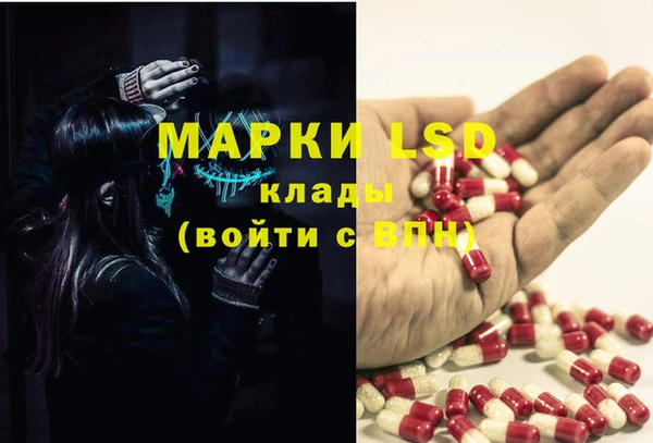 круглые Алзамай