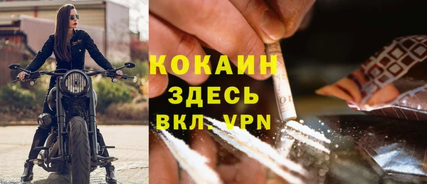 крисы Слюдянка
